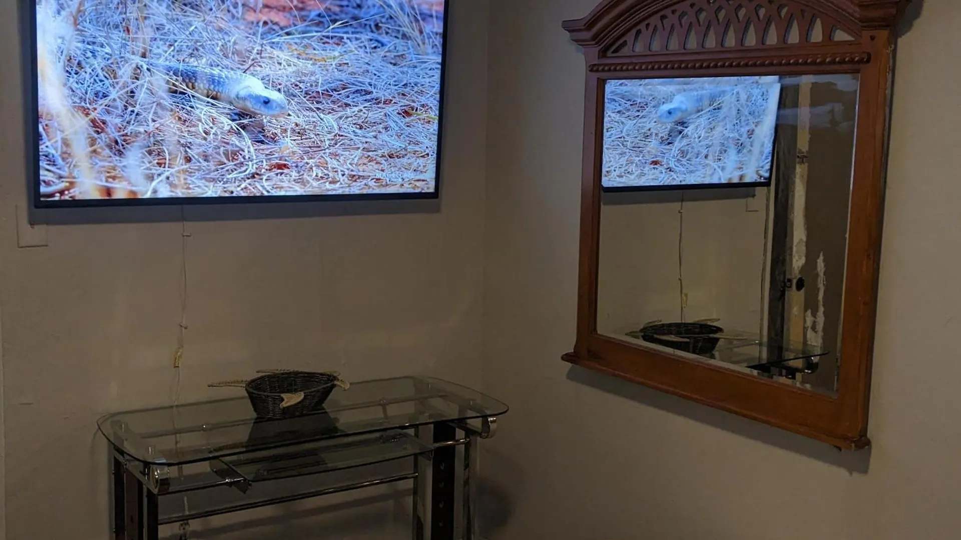 Turtles Spot Apartment Las Vegas Homestay